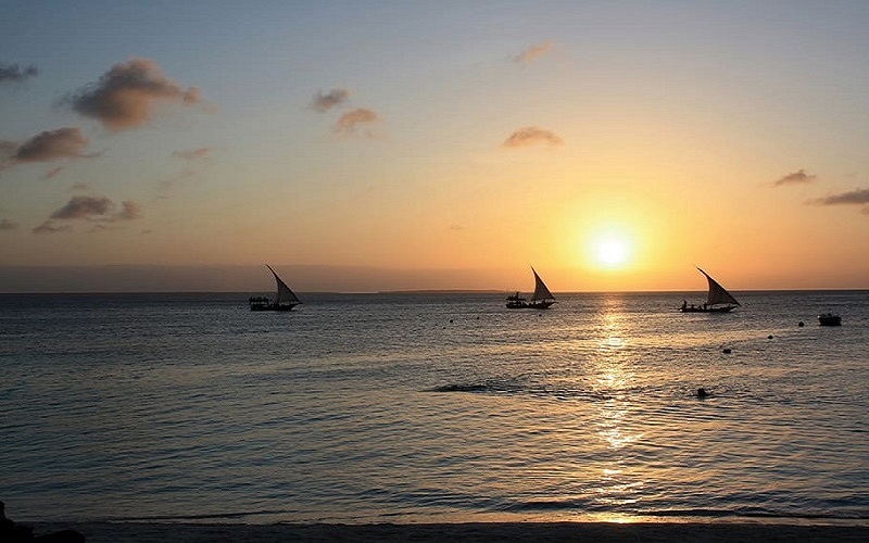 Jozani Forest: A Journey into Zanzibar’s Wild Heart